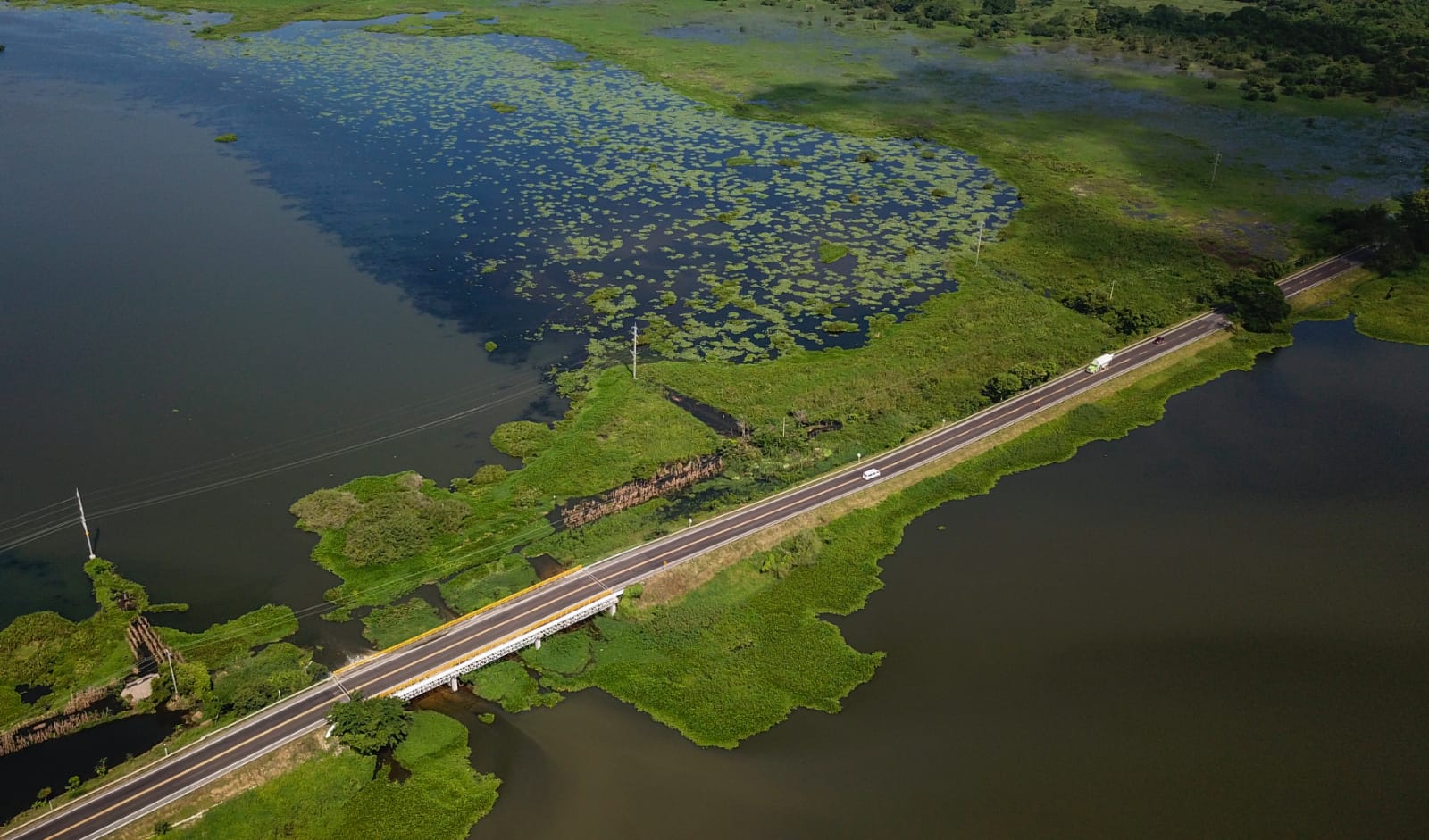 Promigas lanza su primer proyecto de conservación a gran escala en el Caribe