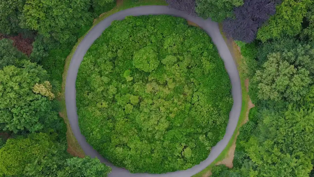 Tork Colombia lidera la transición hacia la economía circular y la sostenibilidad en Colombia