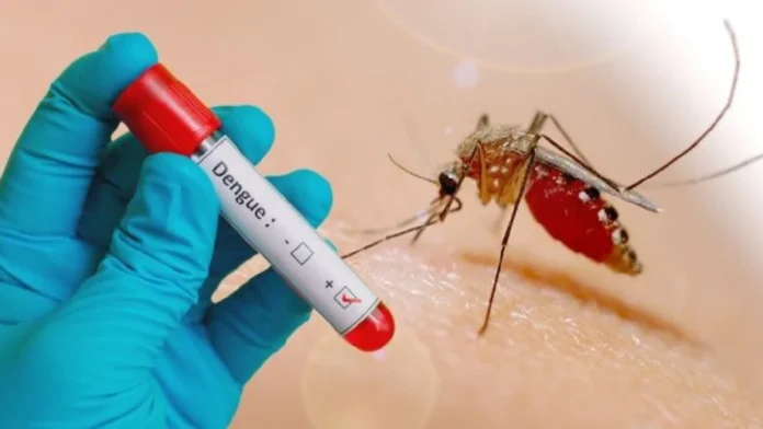 Alarmante aumento de casos de dengue en Medellín: Alcaldía emitió un llamado a la ciudadanía