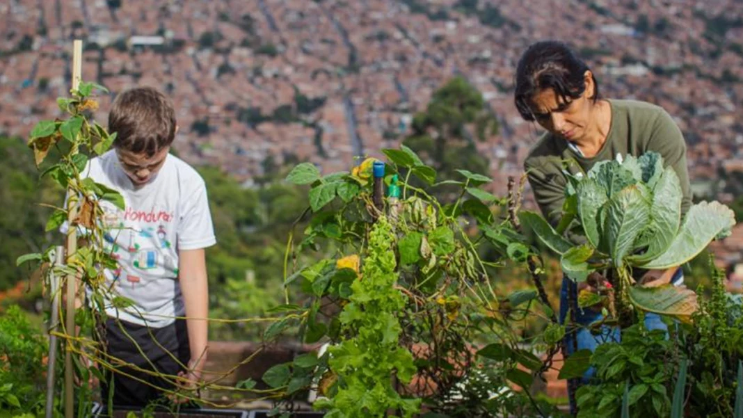 En una estrategia por impulsar la economía circular en Medellín, la Alcaldía ha firmado importante alianza para hacer de la ciudad un espacio más libre de carbono y sostenible para los medellinenses.