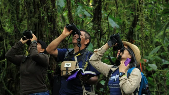 Colombia destaca en el Global Big Day 2024 con 1.558 especies registradas, consolidando su liderazgo en avistamiento de aves.