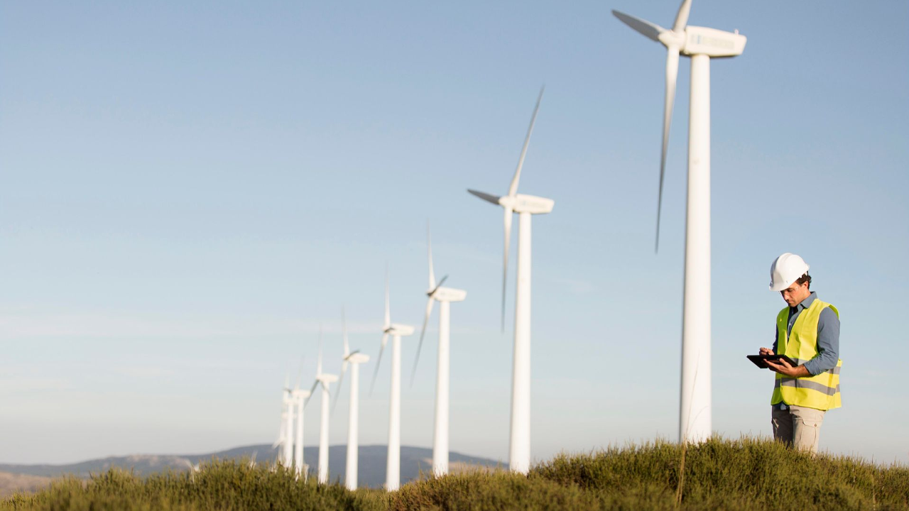 Ecopetrol contempla inversión en energía renovable en subasta de energía eólica costa afuera