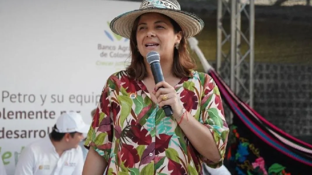 Gobierno intenta persuadir a la Corte sobre artículo demandado por 'expropiación exprés'