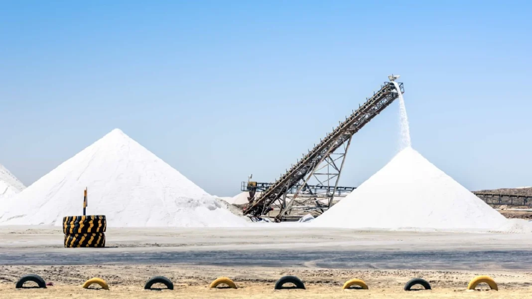 El valioso tesoro blanco: cómo la industria de la sal impulsa la economía