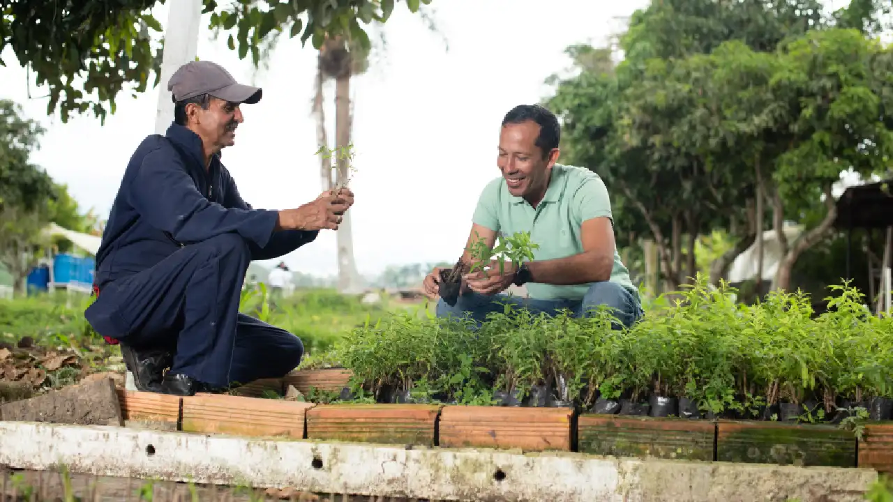 Bogotá estará presente en COP16 con estos importantes aportes en materia de sostenibilidad