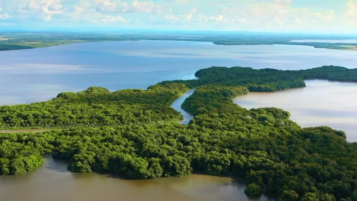 Día Mundial del Medio Ambiente: Fundación Grupo Argos impulsa conservación en Colombia