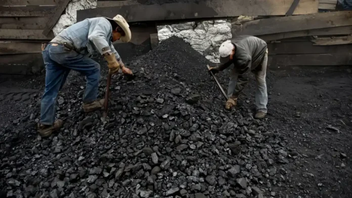 ¿No carbón a Israel?, Una decisión y un golpe directo a la economía colombiana