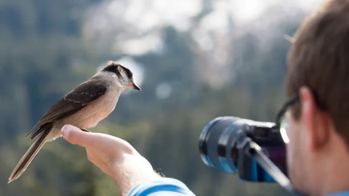 Sony y Birds Colombia se han unido para fomentar la conservación de aves en Colombia mediante la donación de cámaras Alpha 6700 a jóvenes, promoviendo la educación ambiental y la protección de especies en peligro.