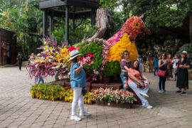 ¡Llegó el momento de FLORECER! Regresa al Jardín Botánico de Medellín la feria de la flora, las tradiciones y la conservación de la biodiversidad