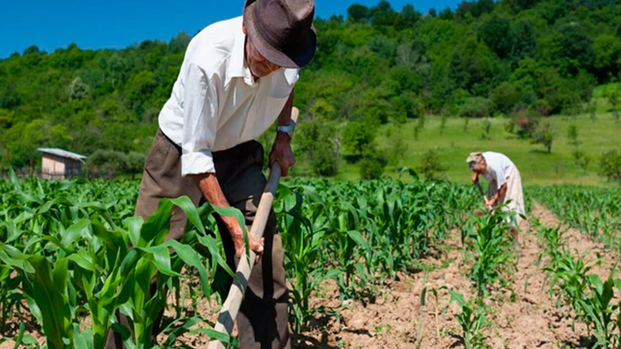 El sector agropecuario en Colombia se consolida como motor económico clave en 2024, impulsando el Índice de Seguimiento a la Economía (ISE) y generando empleo, aunque persisten dudas sobre la precisión de las cifras.