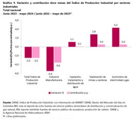 Producción Industrial en Colombia cayó 2,4% en mayo, según reveló el DANE