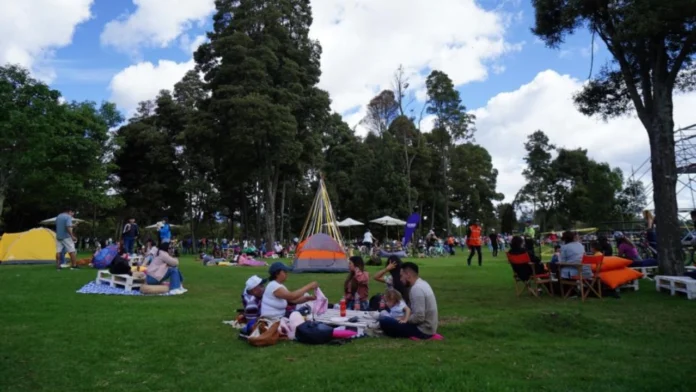 Agéndese para el Festival de Verano 2024 en Bogotá: eventos, conciertos y actividades