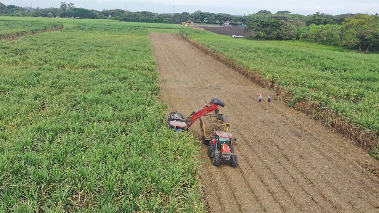 Avances tecnológicos en la transformación agroindustria del Valle y el Pacífico colombiano