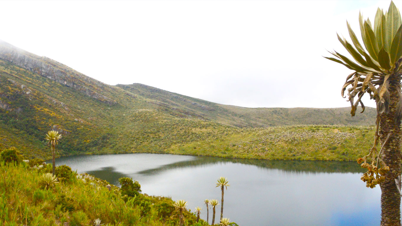 ¿Buscando donde acampar en Colombia? Parque Nacional Natural Chingaza es un buen destino