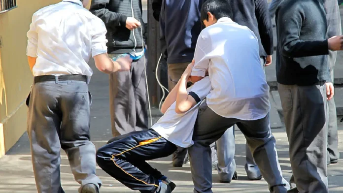 La preocupante situación de la violencia en los colegios