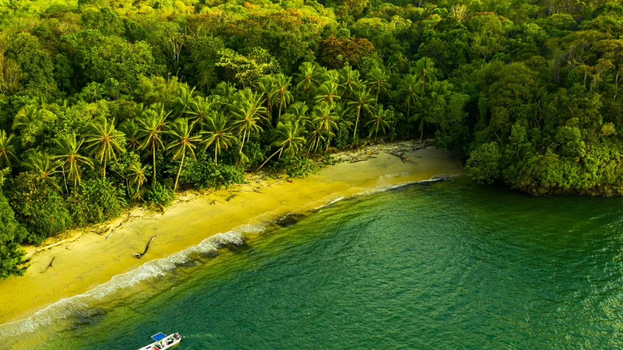 Estrategias de promoción y desarrollo del turismo en el Valle del Cauca