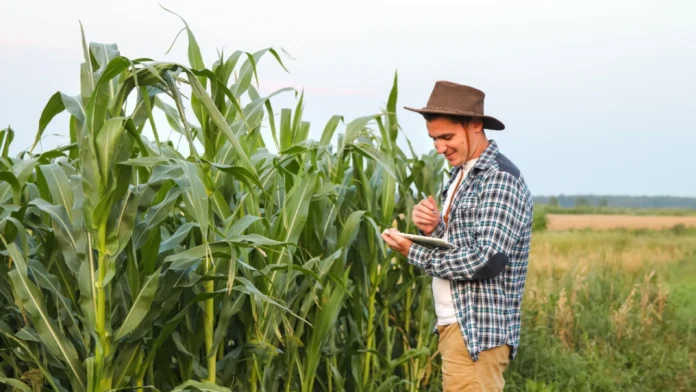 Beneficiarios del apoyo financiero en el sector agropecuario