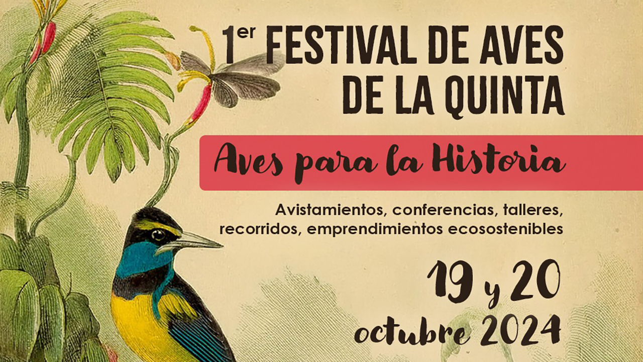 Bogotá se prepara para el Festival de Aves de la Quinta en el marco de la COP16