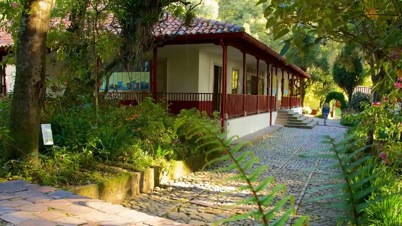 Bogotá se prepara para el Festival de Aves de la Quinta en el marco de la COP16