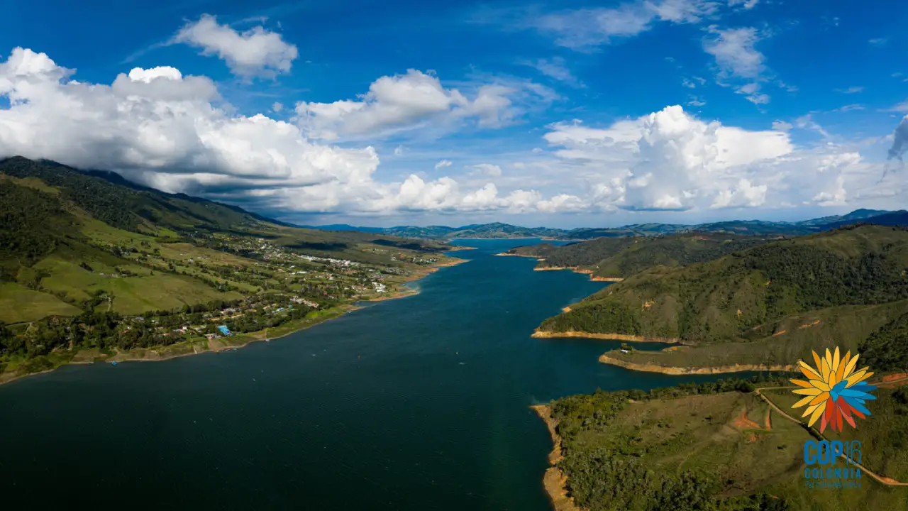 COP16 ¿Qué porcentaje de la biodiversidad mundial alberga Colombia