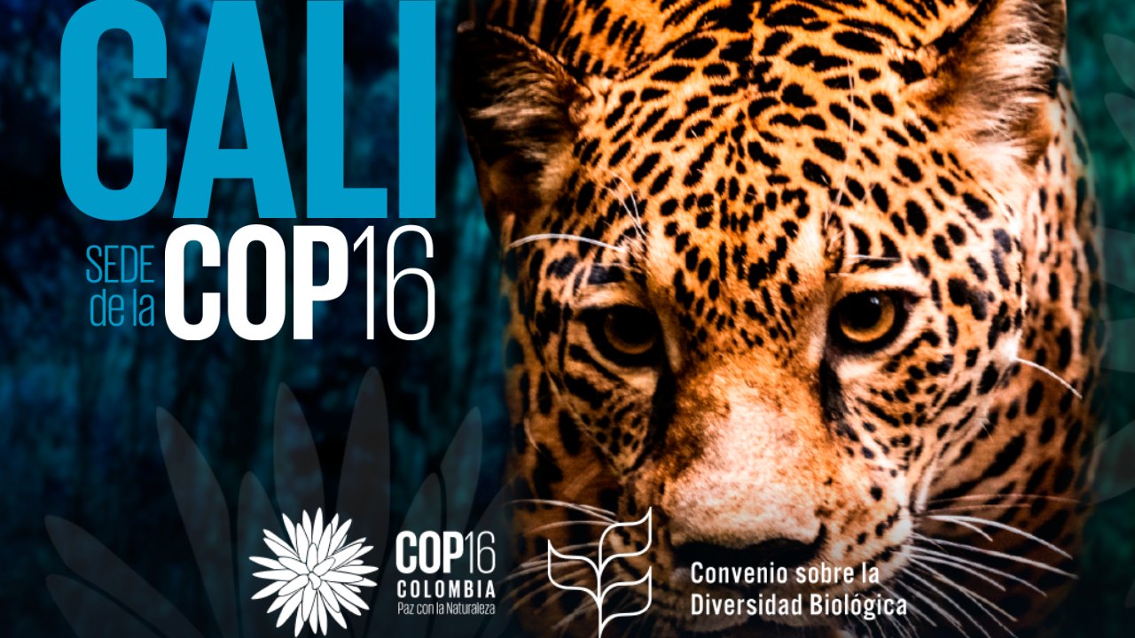 Agenda académica de la COP16 en Cali: sostenibilidad y justicia ambiental como ejes clave