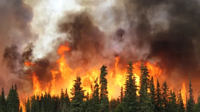 Incedios forestales; cambio climático