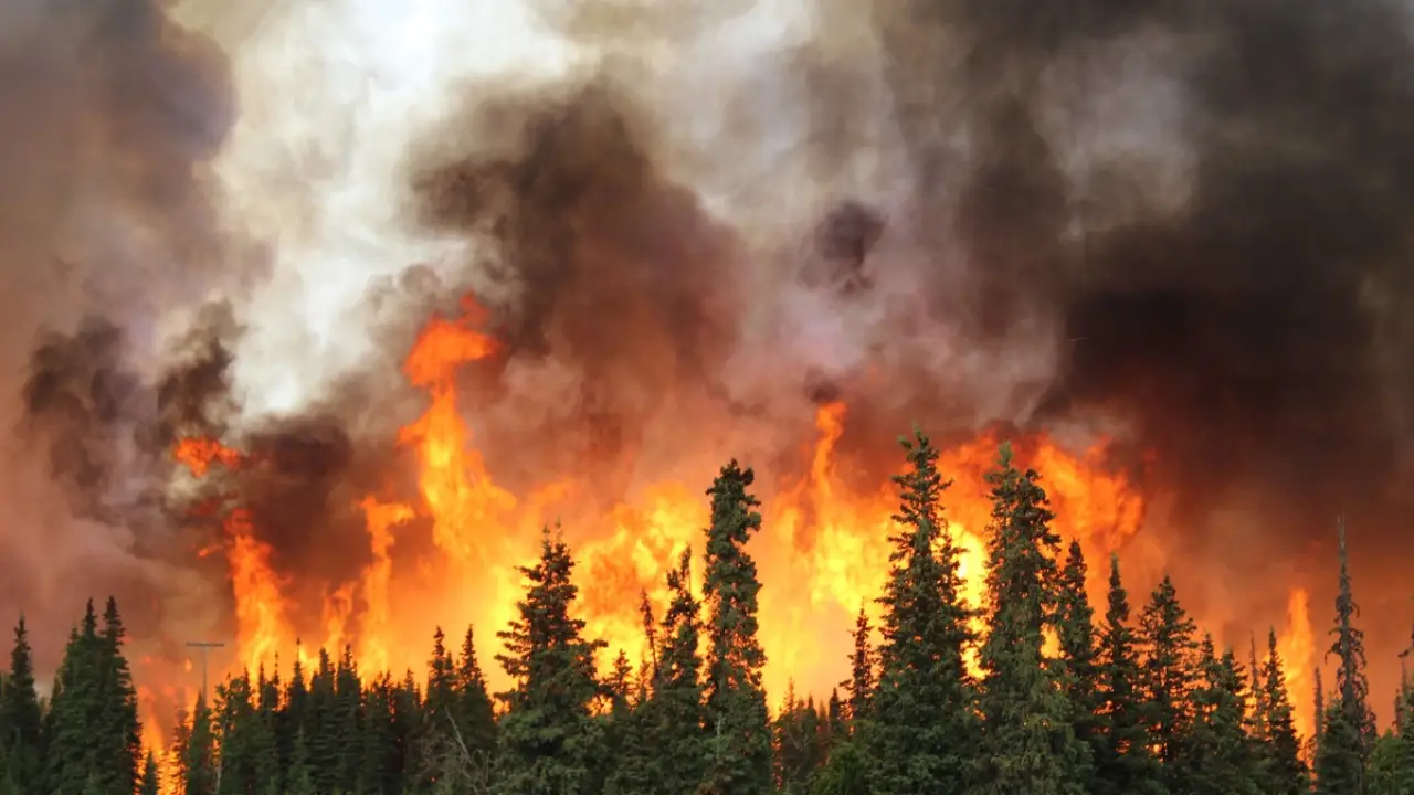 Incedios forestales; cambio climático