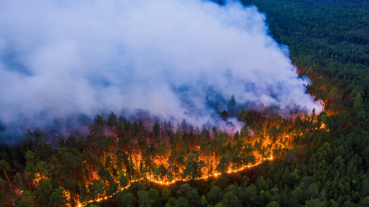 Incendios forestales; incendios; cambio climático