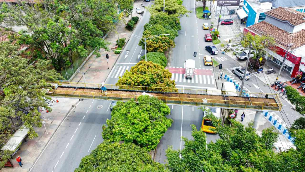 Medellín apuesta por la sostenibilidad con la creación de pasos de fauna silvestre