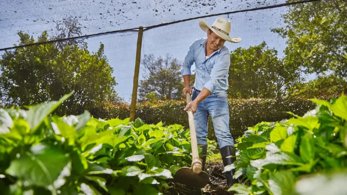 proyectos de sostenibilidad en el campo colombiano