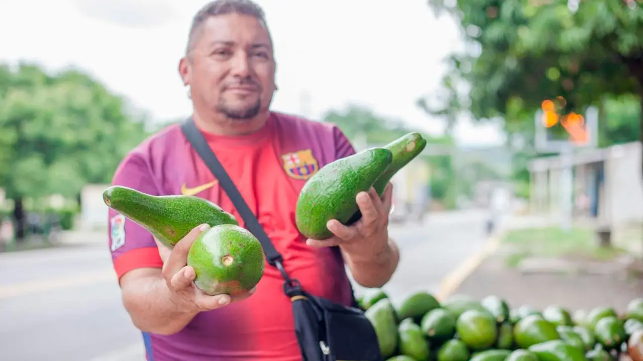 Finagro desembolsó $1,54 billones en créditos para sostenibilidad climática en 2024