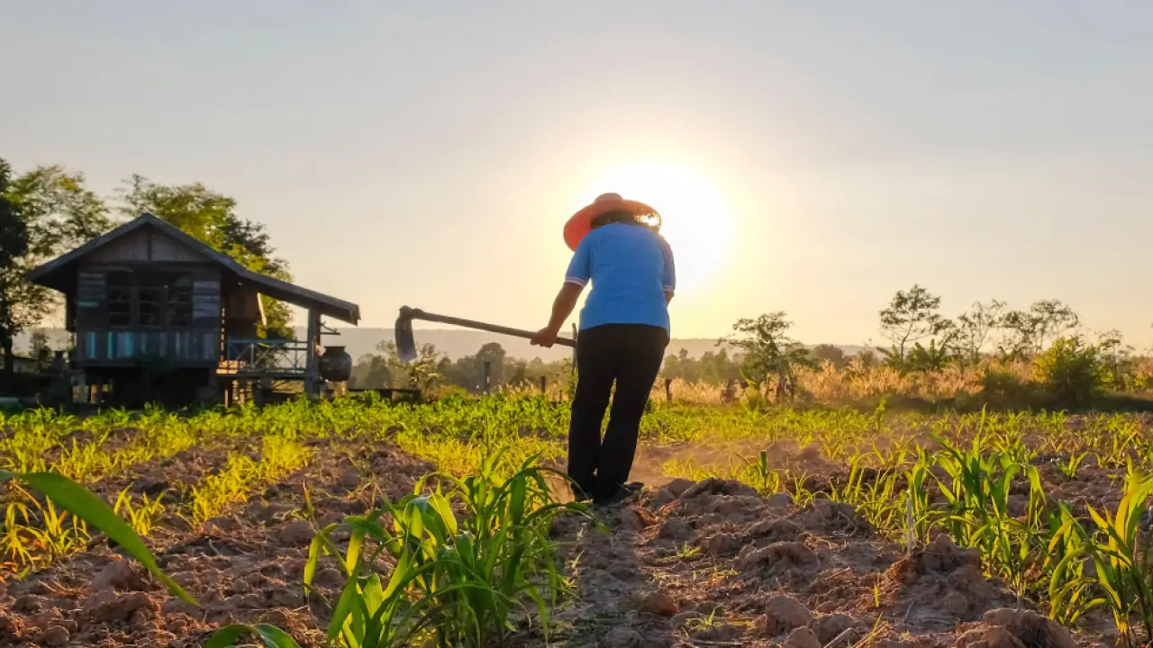 Finagro desembolsó $1,54 billones en créditos para sostenibilidad climática en 2024