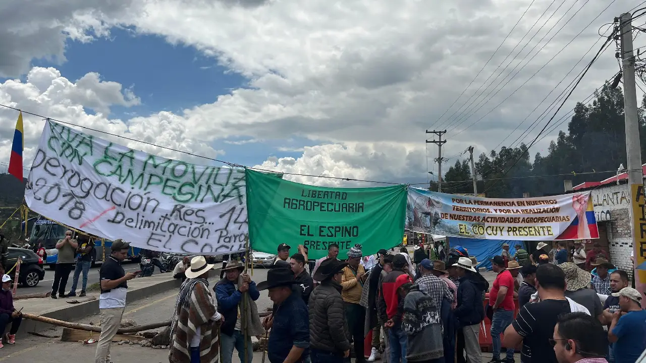 ¿Qué ocasionó que los campesinos en algunas regiones del país se fueran a paro indefinido?