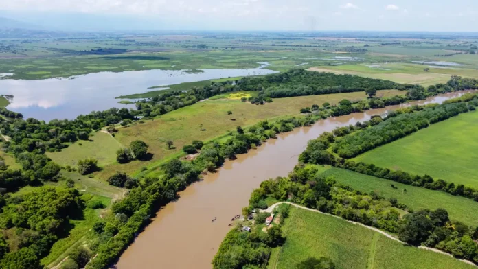 Asocaña impulsa la construcción de un corredor biodiverso en Colombia