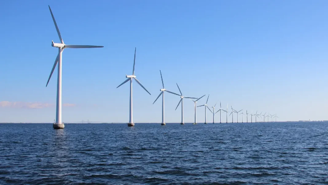 Primera ronda de energía eólica costa afuera en Colombia: conozca las empresas que se postularon al proyecto histórico
