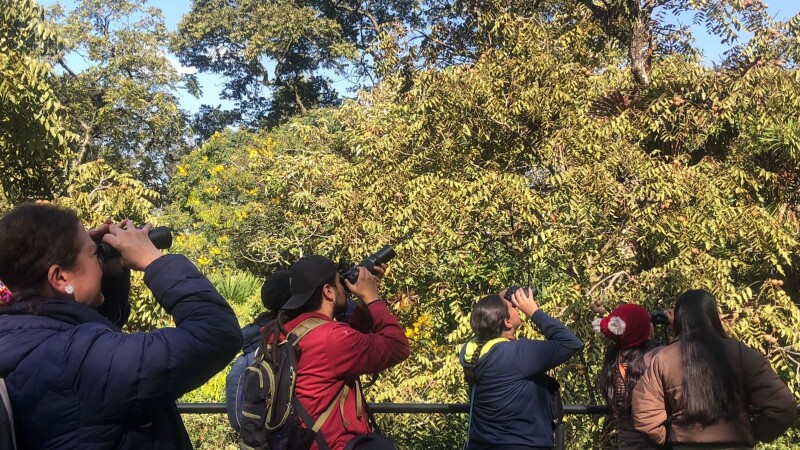 Bogotá se prepara para el Festival de Aves de la Quinta en el marco de la COP16