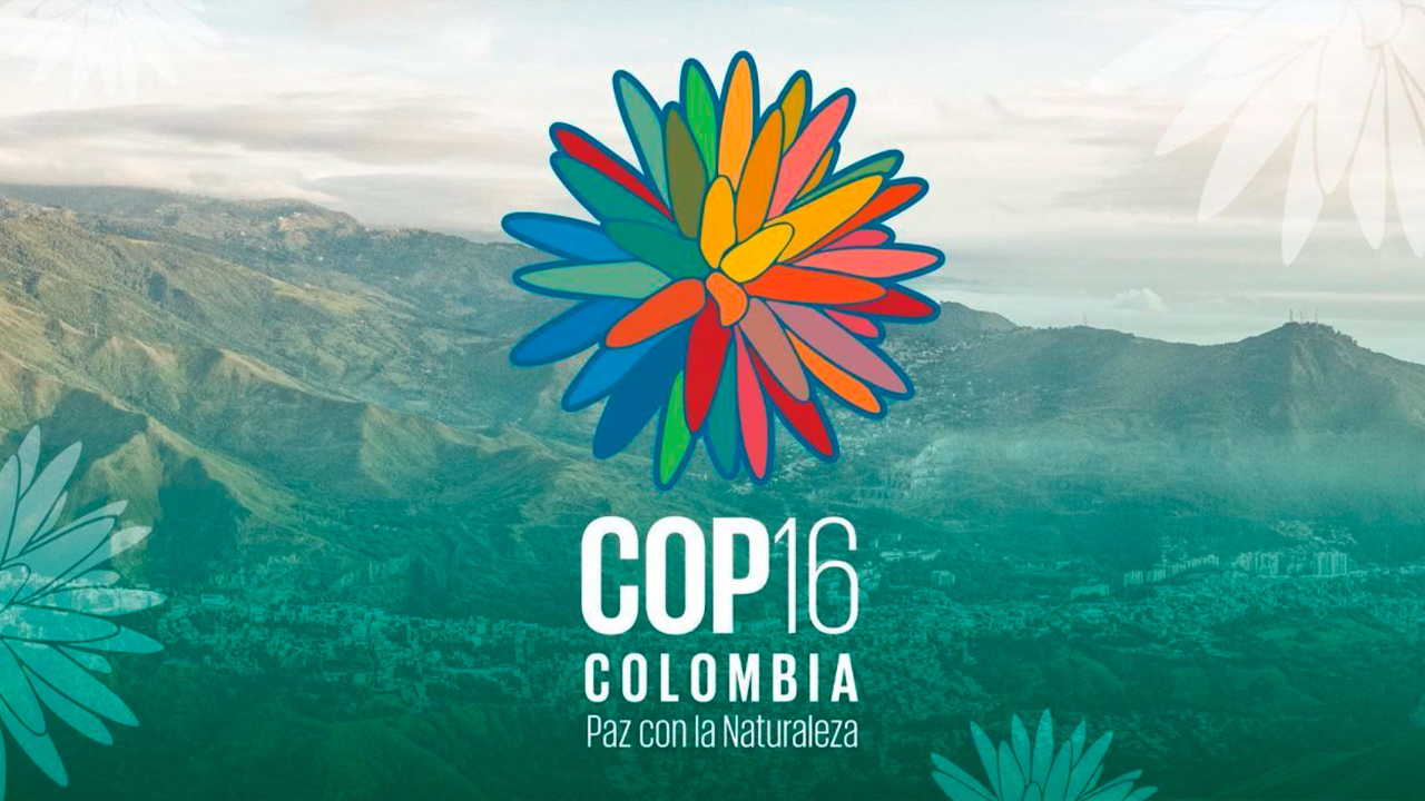 La COP16 en Colombia: Un evento de impacto global y éxito en conectividad aérea