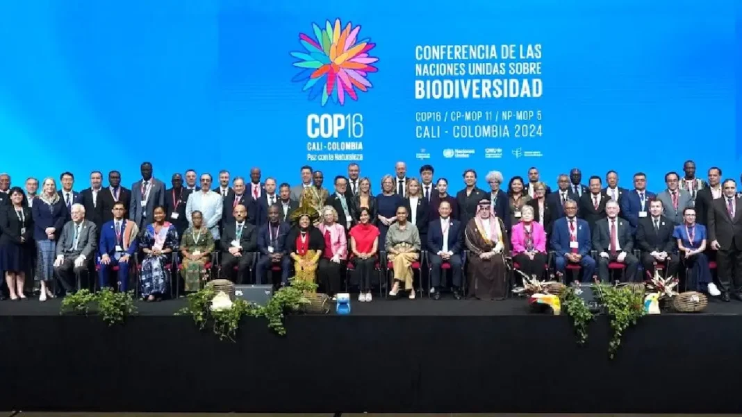 Conclusiones de la Cop16 para Colombia: logros y temas pendientes