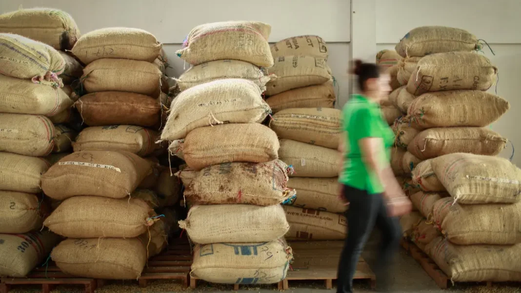 Las exportaciones del sector agropecuario