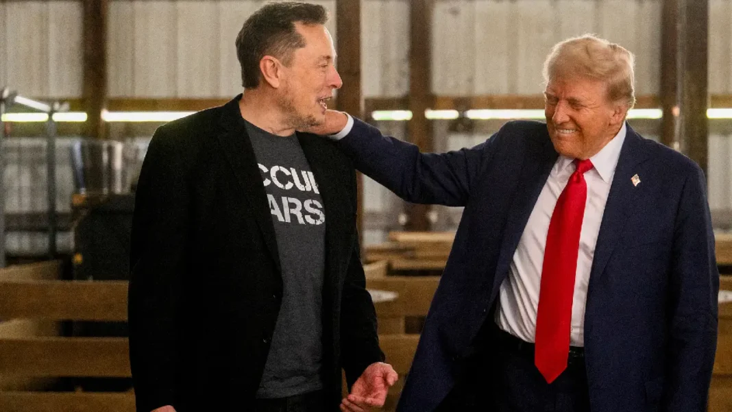 Impacto del regreso de Trump en las acciones de Tesla y el patrimonio de Elon Musk
