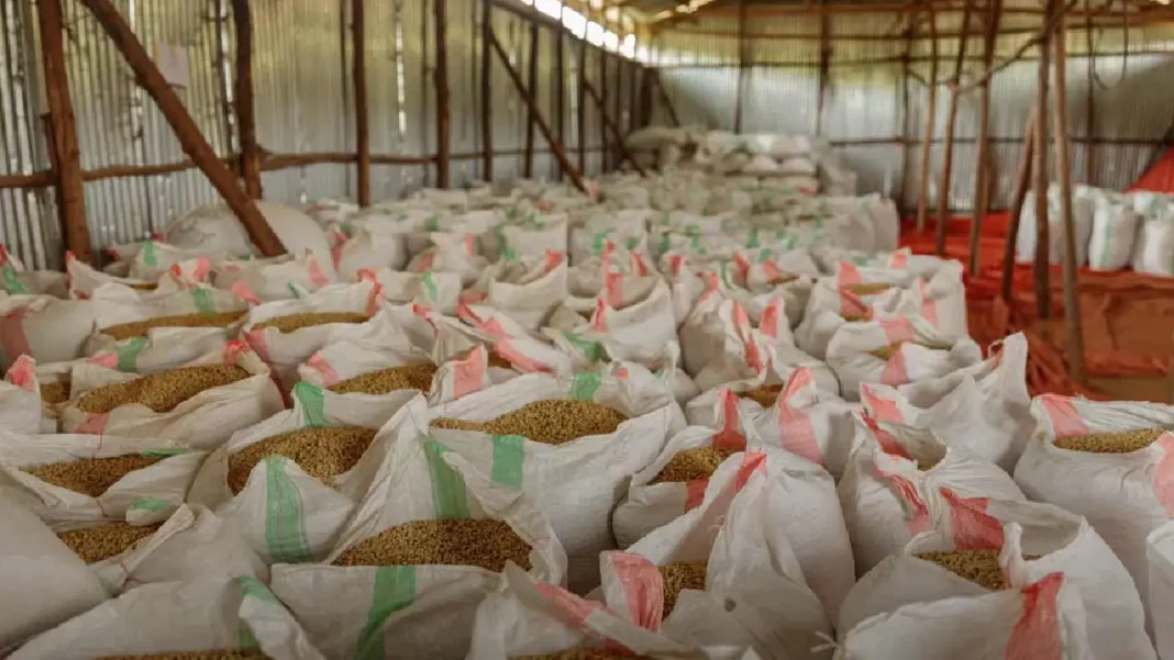 Cartagena y la Cumbre Cafetera 2023: clave en el futuro del café colombiano