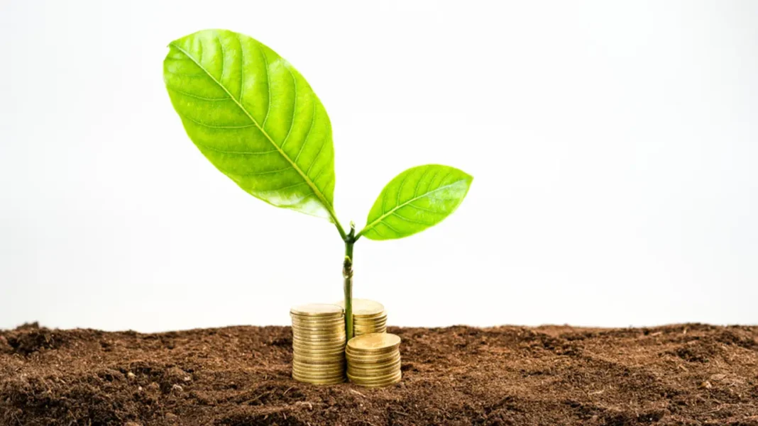 Economía colombiana en el tercer trimestre de 2024 crece con gran participación del sector agricultura