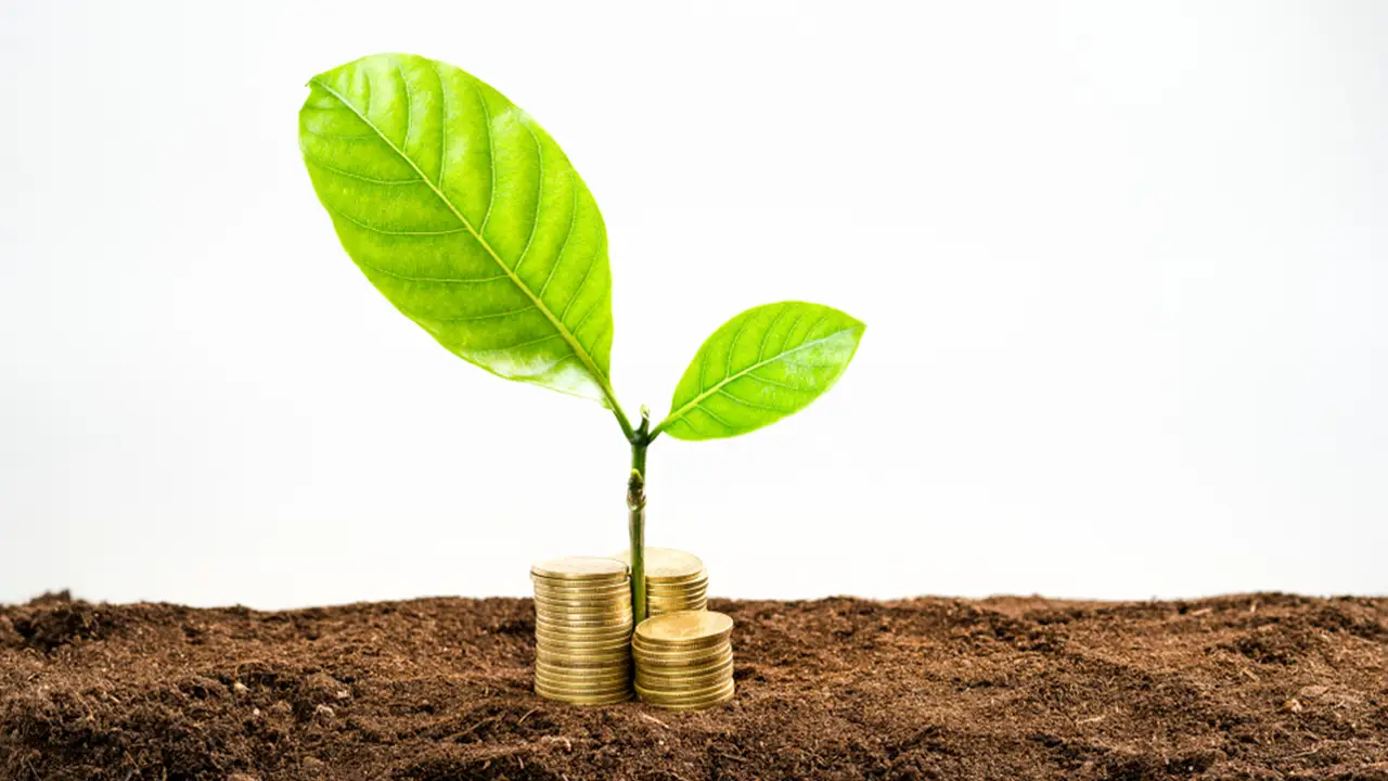 Economía colombiana en el tercer trimestre de 2024 crece con gran participación del sector agricultura