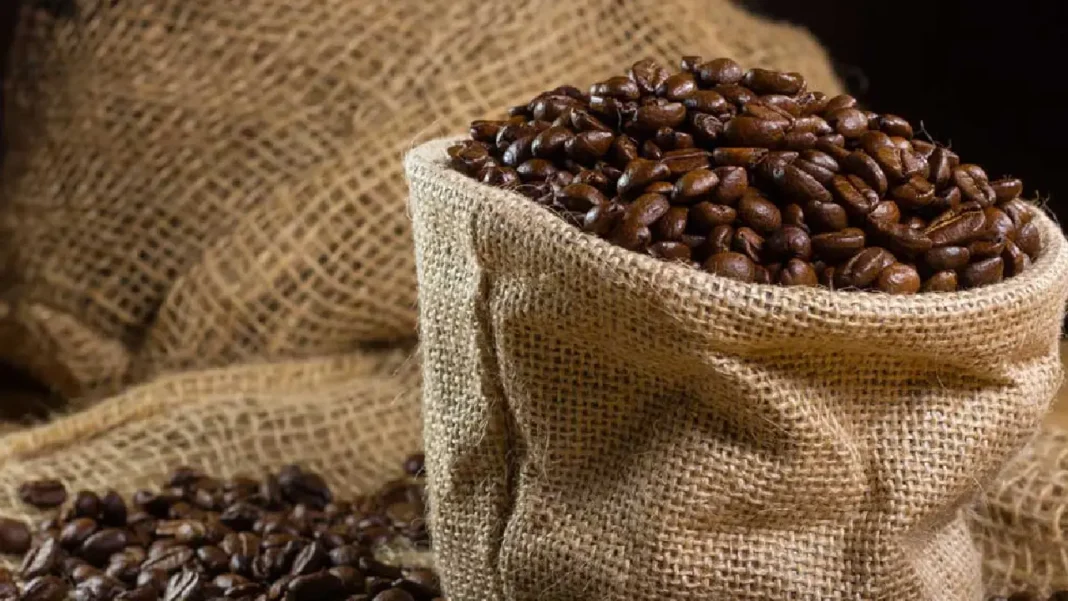 El sector cafetero de Colombia impulsa la economía con un 33,6% de aporte en el tercer trimestre de 2024