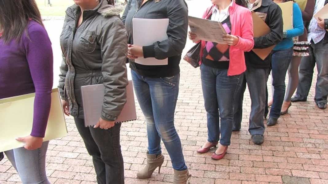 Trabajo en el sector público: novedades en vacantes para empleos de carrera