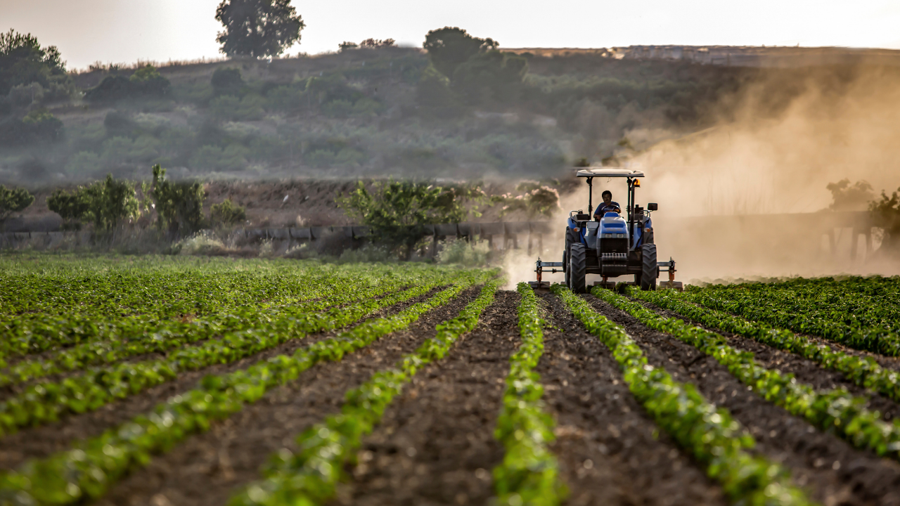 Asobancaria impulsa el leasing como herramienta para pequeños agricultores