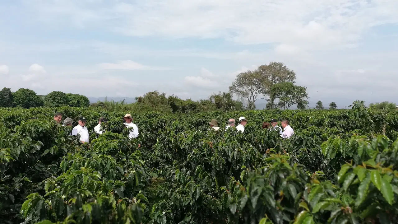 Impulso al sector agropecuario de Antioquia: $61.000 millones para pequeños y medianos productores