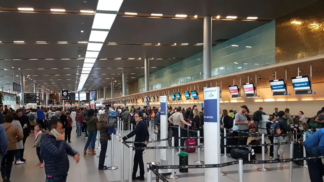 Estrategias del sector transporte para la temporada alta de fin de año 