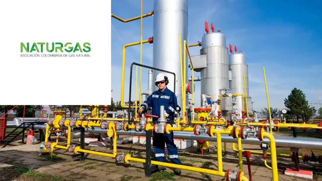 Naturgas advierte sobre el impacto de las importaciones en las tarifas del gas natural