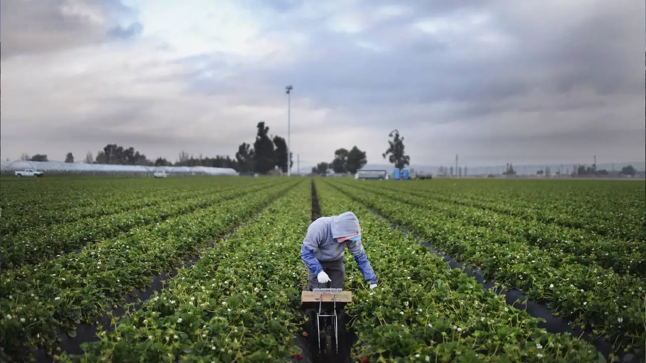 El impacto económico de la escasez de trabajadores inmigrantes en EE.UU.